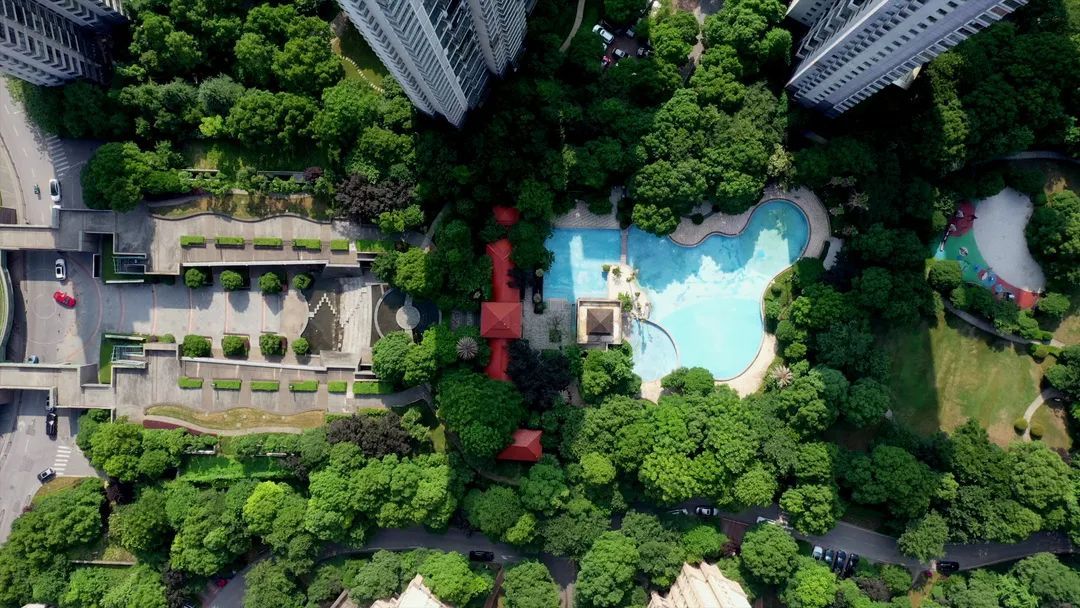 起,眼见着金鸡湖越来越美…万科玲珑湾花园见证着园区的日新月异
