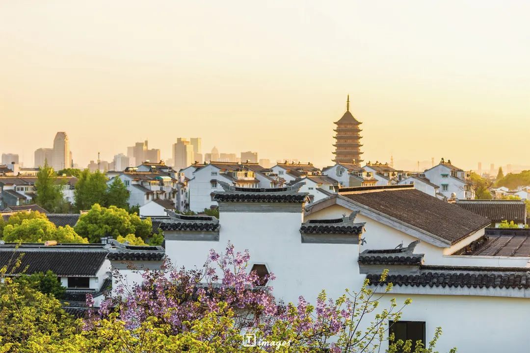 教师建议多配偶制